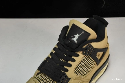 Jordan Fossil 4 Retro AQ9129-200  0809